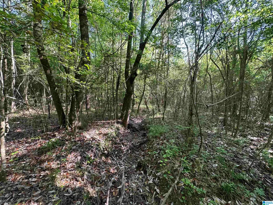 13181 E CAPITOL DRIVE, Lawley, AL 36793 - #3