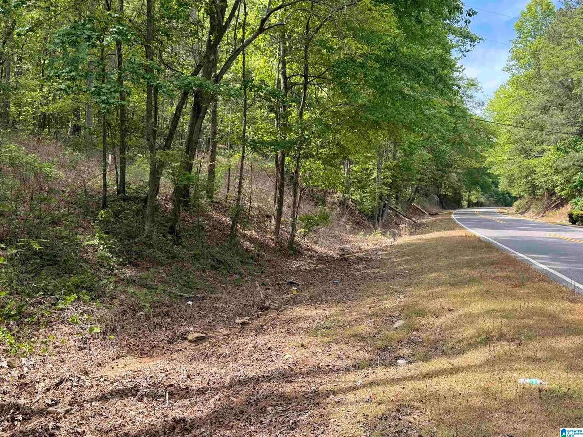0 GOODWATER HIGHWAY, Sylacauga, AL 35150 - #1