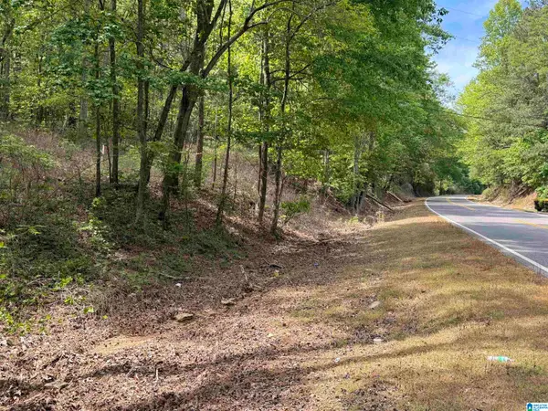 0 GOODWATER HIGHWAY, Sylacauga, AL 35150