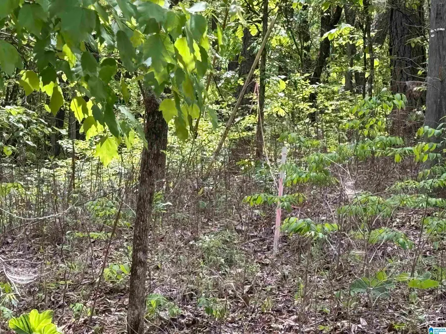 0 GOODWATER HIGHWAY, Sylacauga, AL 35150 - #2