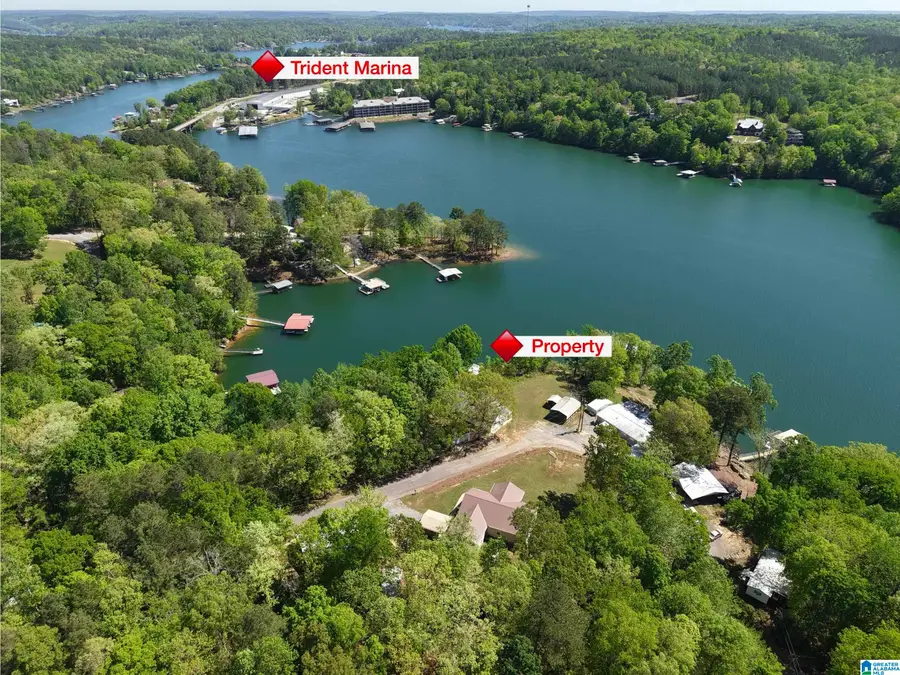 385 COUNTY ROAD 209, Crane Hill, AL 35053 - #2