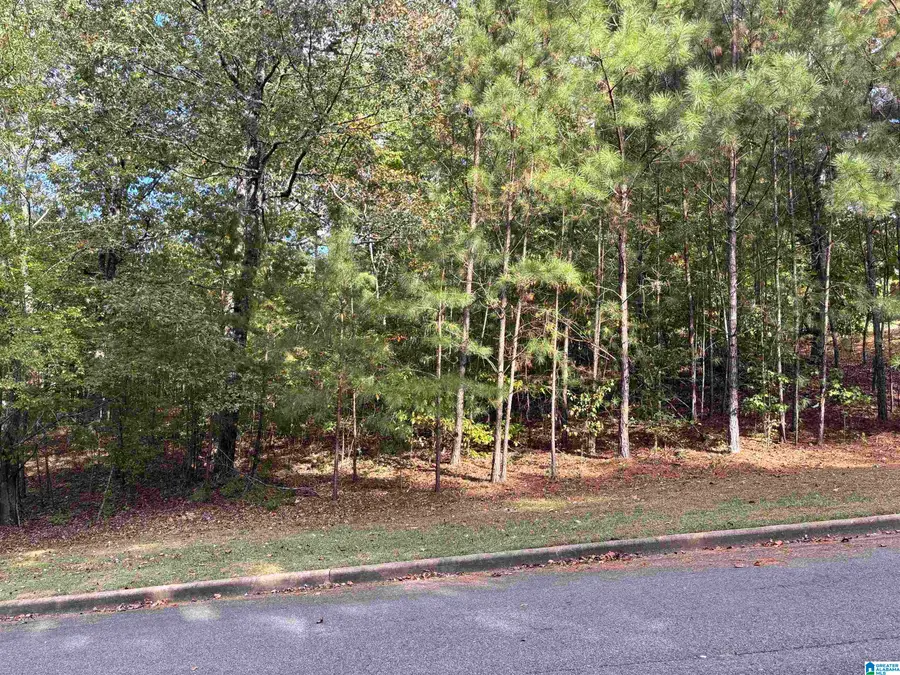 Lot 9 WHITE OAK CIRCLE, Dora, AL 35062 - #3