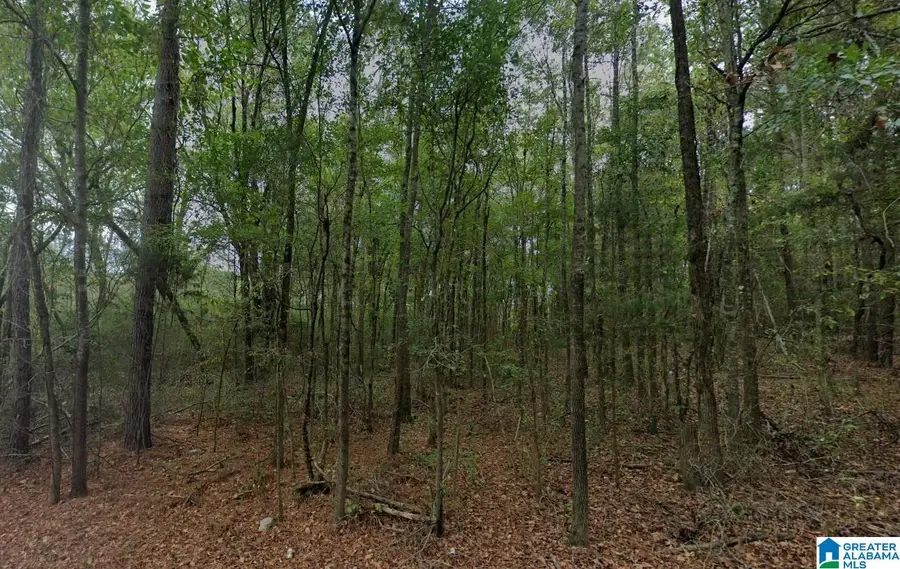 HOLLAND FINLEY ROAD, Jacksonville, AL 36265 - #2