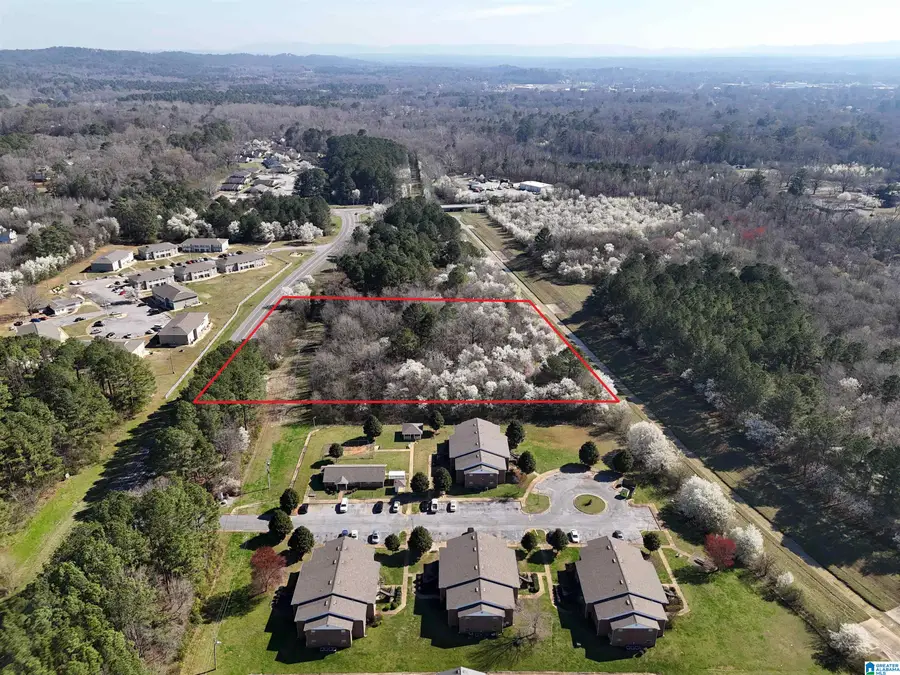 0 JAMES PAYTON BOULEVARD, Sylacauga, AL 35150 - #2