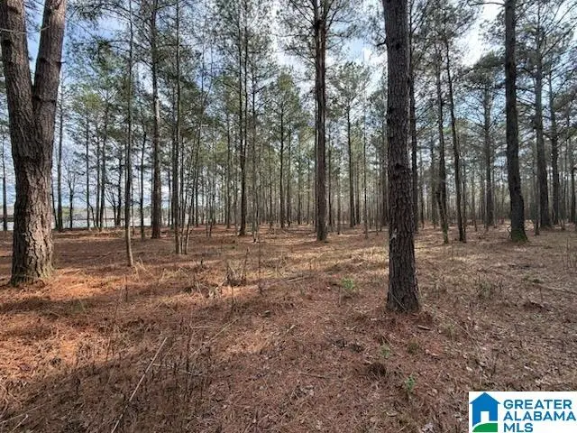 01 CLUBHOUSE ROAD, Sylacauga, AL 35150 - #2