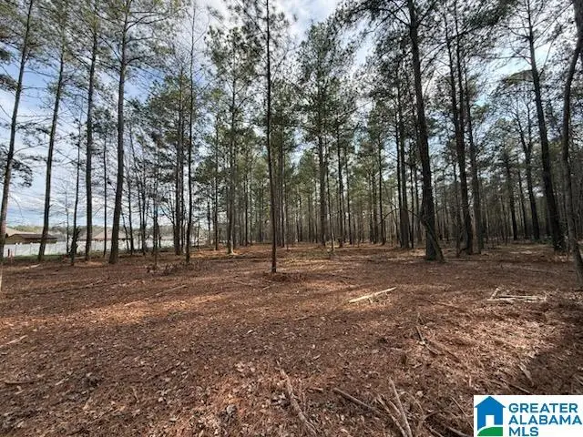 01 CLUBHOUSE ROAD, Sylacauga, AL 35150 - #3