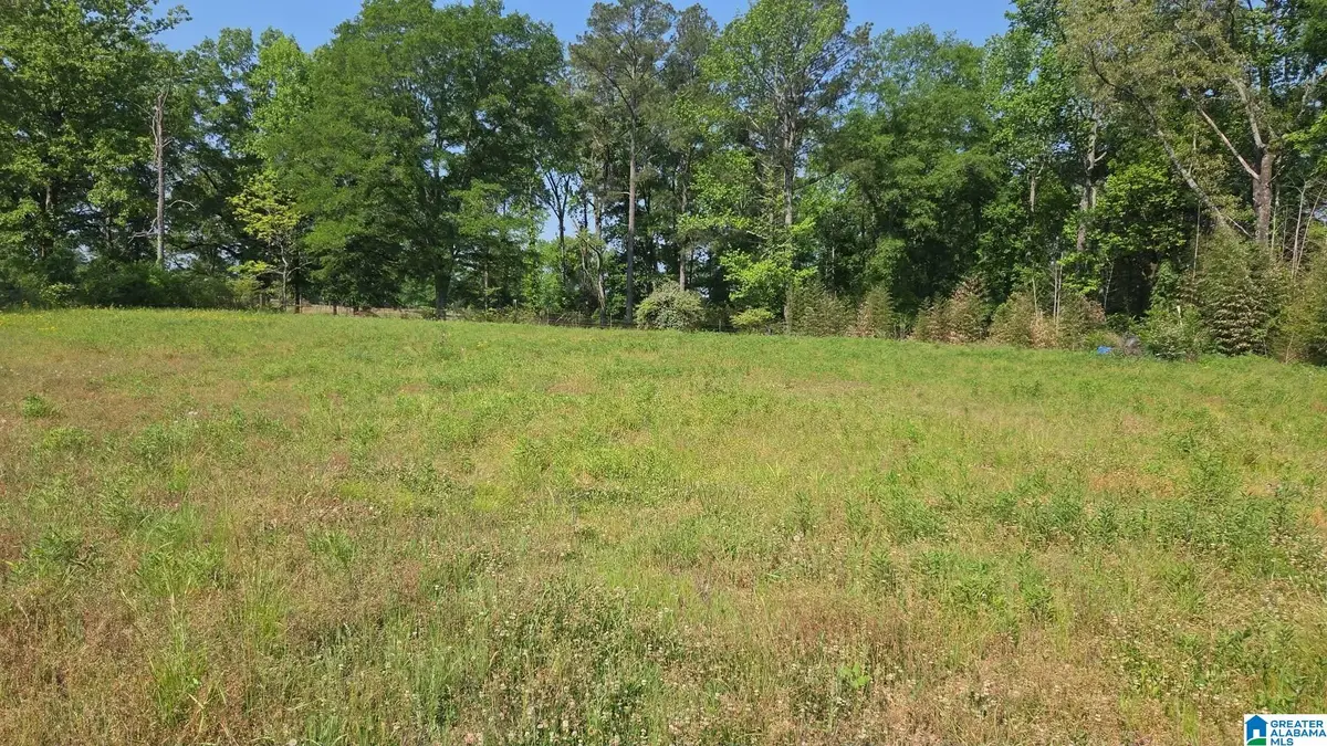 10997 VANCE BLOCKTON ROAD, Vance, AL 35490 - #1