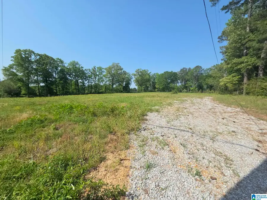 10997 VANCE BLOCKTON ROAD, Vance, AL 35490 - #2