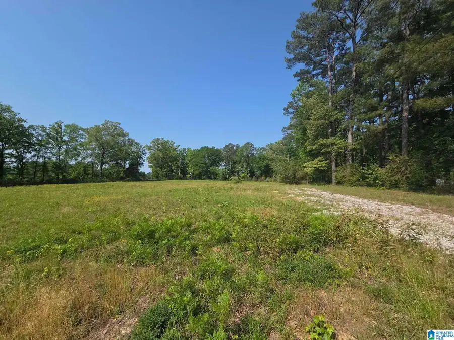 10997 VANCE BLOCKTON ROAD, Vance, AL 35490 - #3