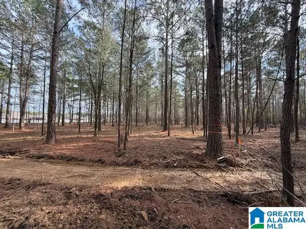 016 CLUB HOUSE ROAD, Sylacauga, AL 35150