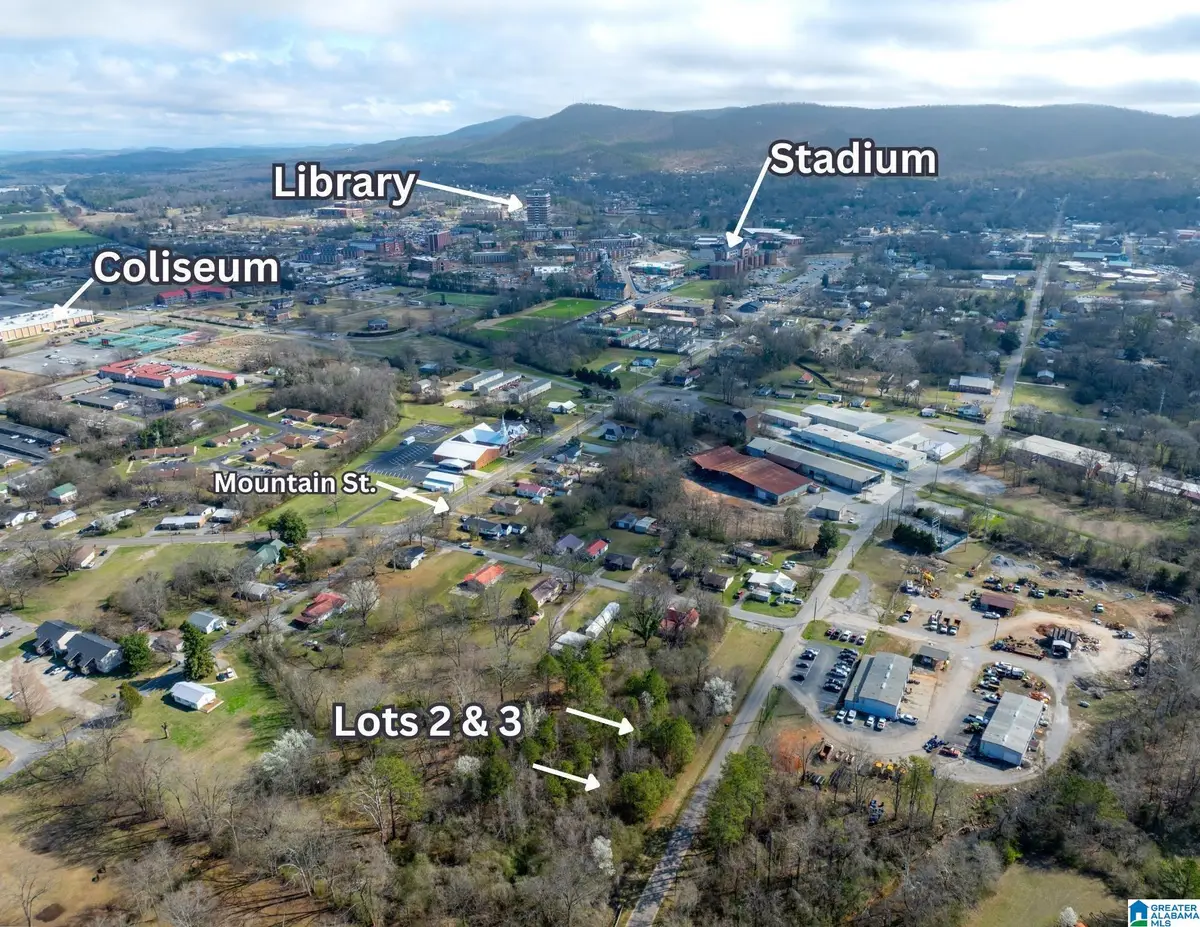 Lot 3 FRANCIS STREET, Jacksonville, AL 36265 - #1
