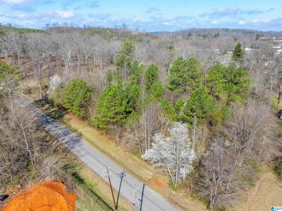 Lot 3 FRANCIS STREET, Jacksonville, AL 36265 - #2