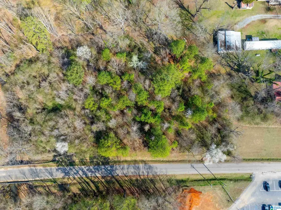 Lot 3 FRANCIS STREET, Jacksonville, AL 36265 - #3