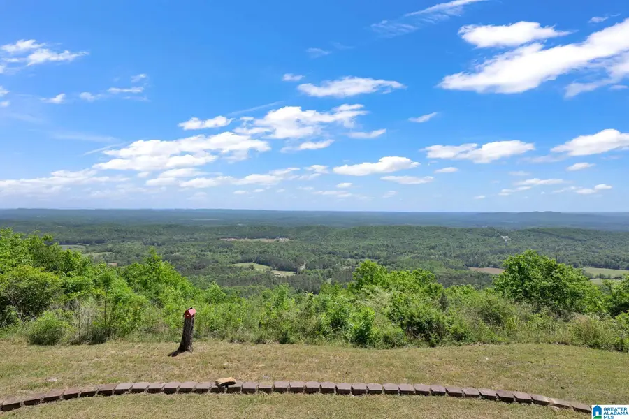 7076 COUNTY ROAD 24, Springville, AL 35146 - #2