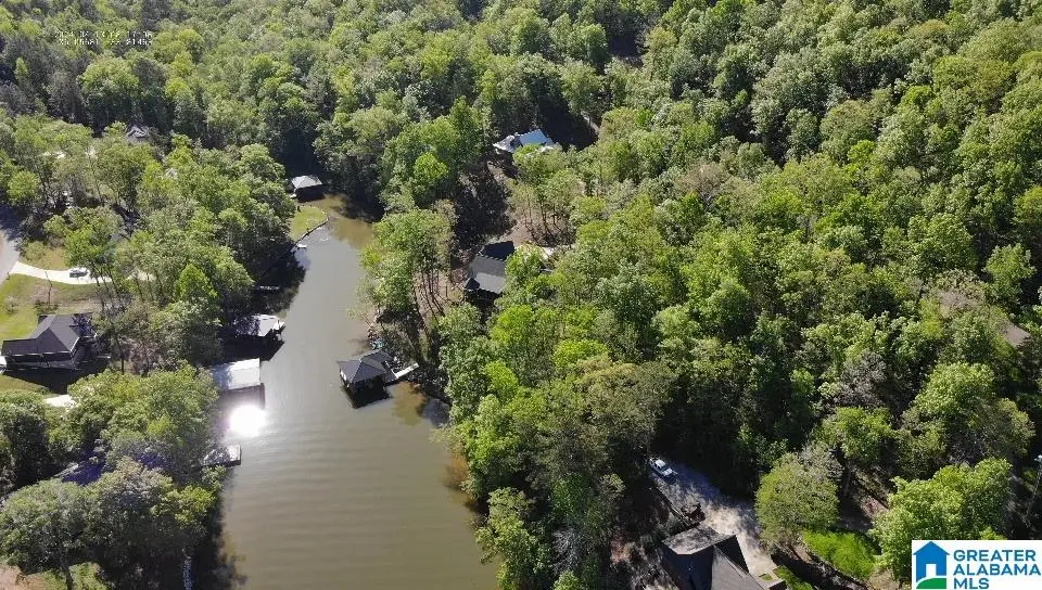 102 BOULDER POINT LANE, Ohatchee, AL 36271 - #1