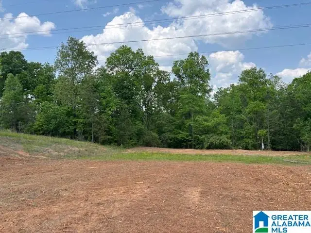 289 CIRCLE DRIVE, Roanoke, AL 36274 - #1