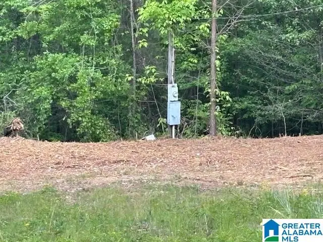 289 CIRCLE DRIVE, Roanoke, AL 36274 - #3