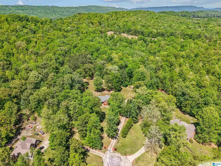706 OAK VALLEY ROAD, Springville, AL 35146 - #3