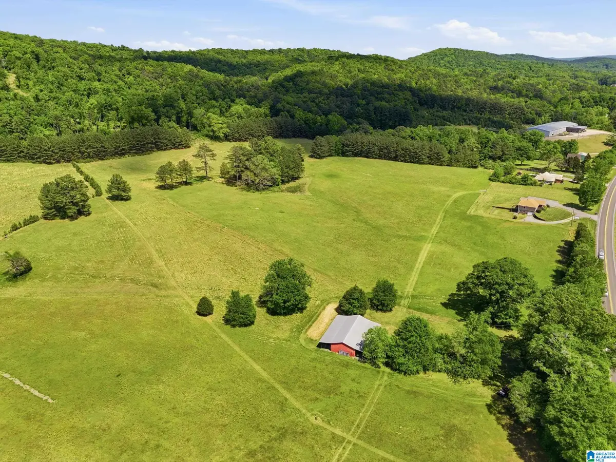 0 HIGHWAY 174, Springville, AL 35146 - #1