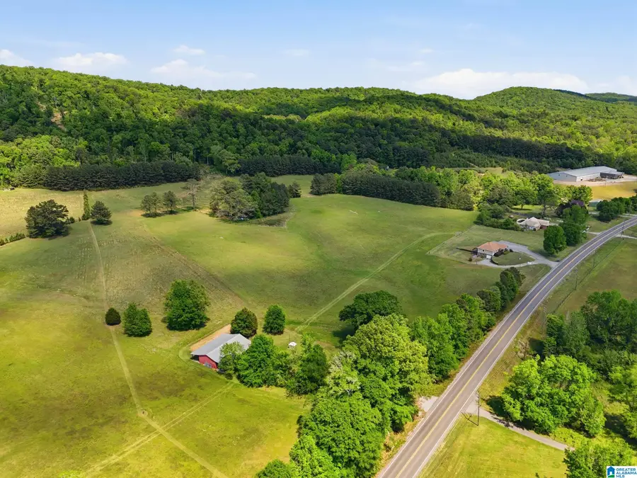 0 HIGHWAY 174, Springville, AL 35146 - #3