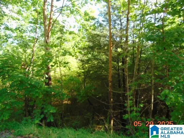 0 COUNTY ROAD 43, Clanton, AL 35045