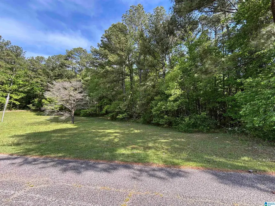 0 OLD SAWMILL ROAD, Moody, AL 35004 - #3