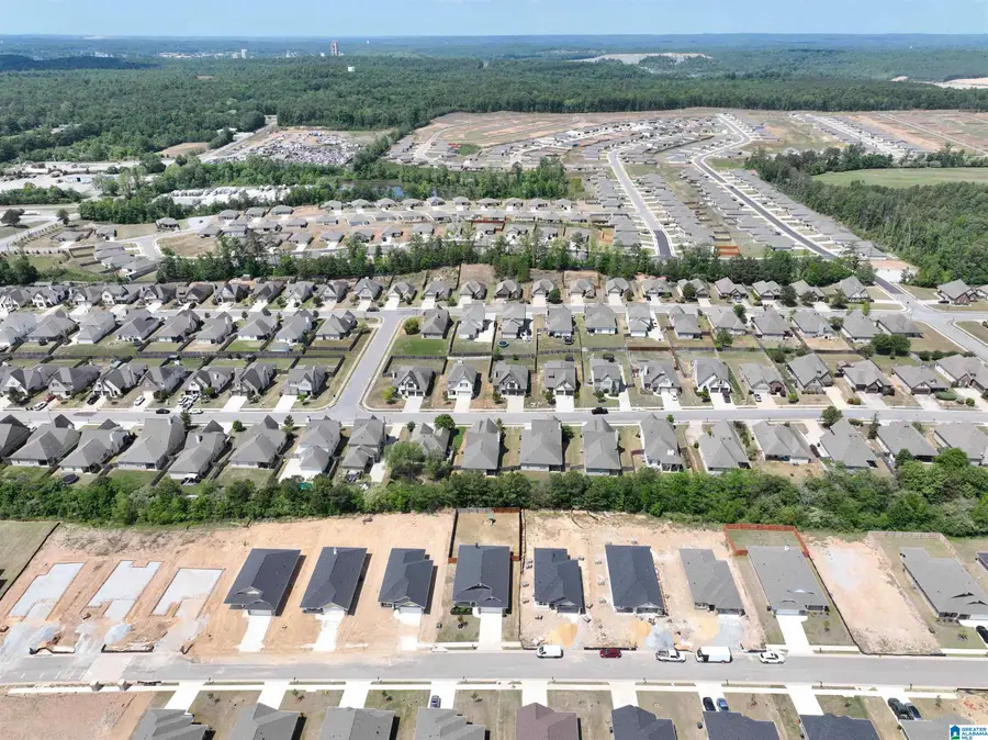 2106 TURQUOISE LANE, Calera, AL 35040 - #2