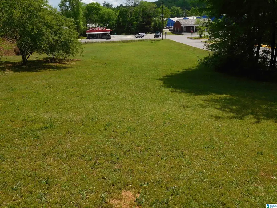 0000 US HIGHWAY 11, Springville, AL 35146 - #3