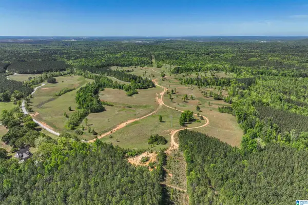 489 FOURWING LAKE ROAD, Alabaster, AL 35007