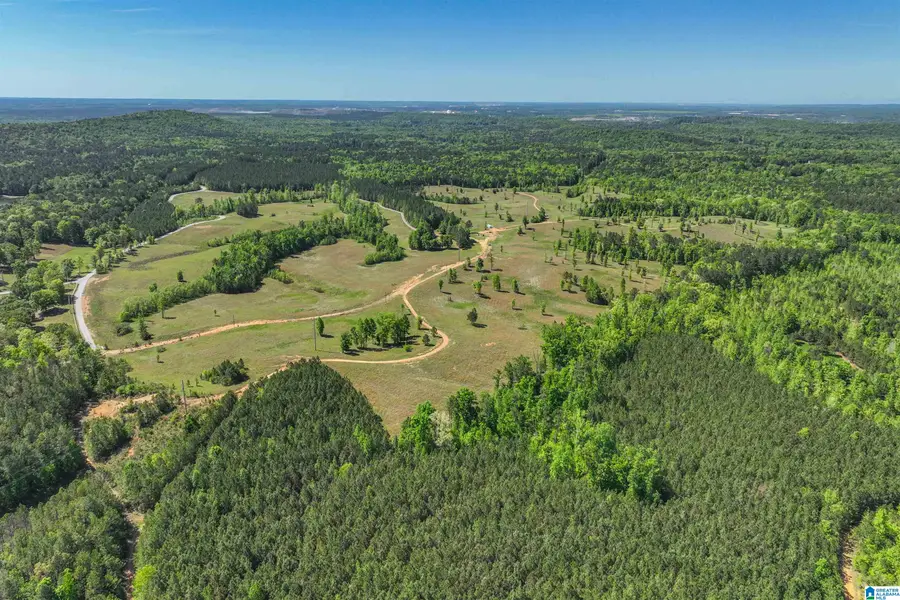 489 FOURWING LAKE ROAD, Alabaster, AL 35007 - #2