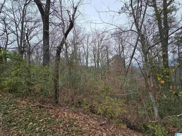 1024 MELODY LANE, Birmingham, AL 35214