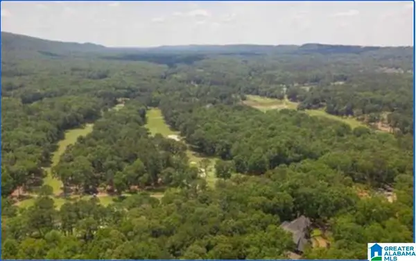 309 CARNOUSTIE, Birmingham, AL 35242