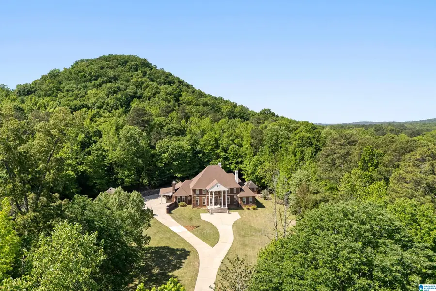 3144 CAHABA VALLEY ROAD, Indian Springs Village, AL 35124 - #2