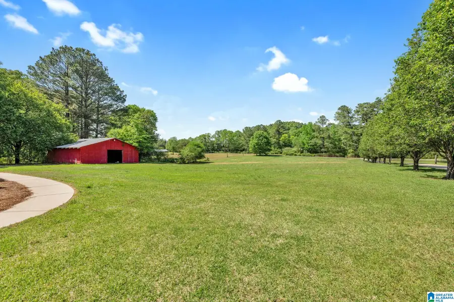 9869 HILL LANE, Warrior, AL 35180 - #2