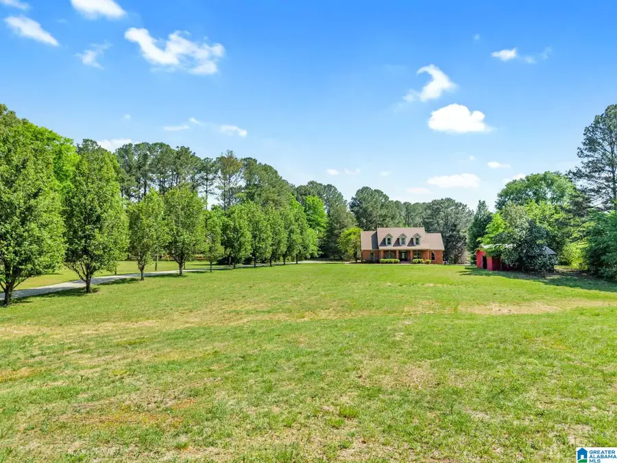 9869 HILL LANE, Warrior, AL 35180 - #3