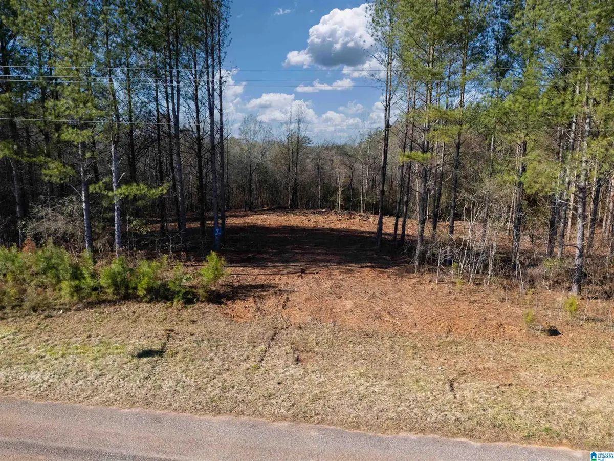 0 COUNTY ROAD 432, Woodland, AL 36280 - #1
