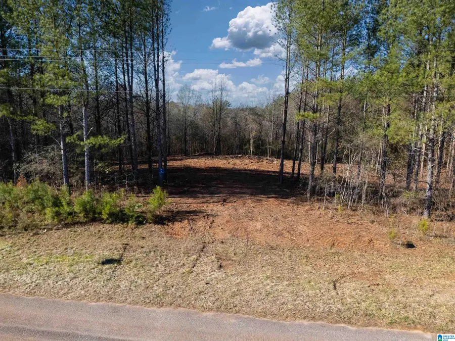 0 COUNTY ROAD 432, Woodland, AL 36280 - #2