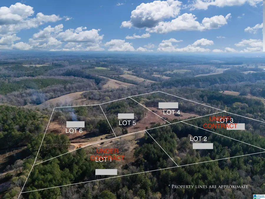 0 COUNTY ROAD 432, Woodland, AL 36280 - #3