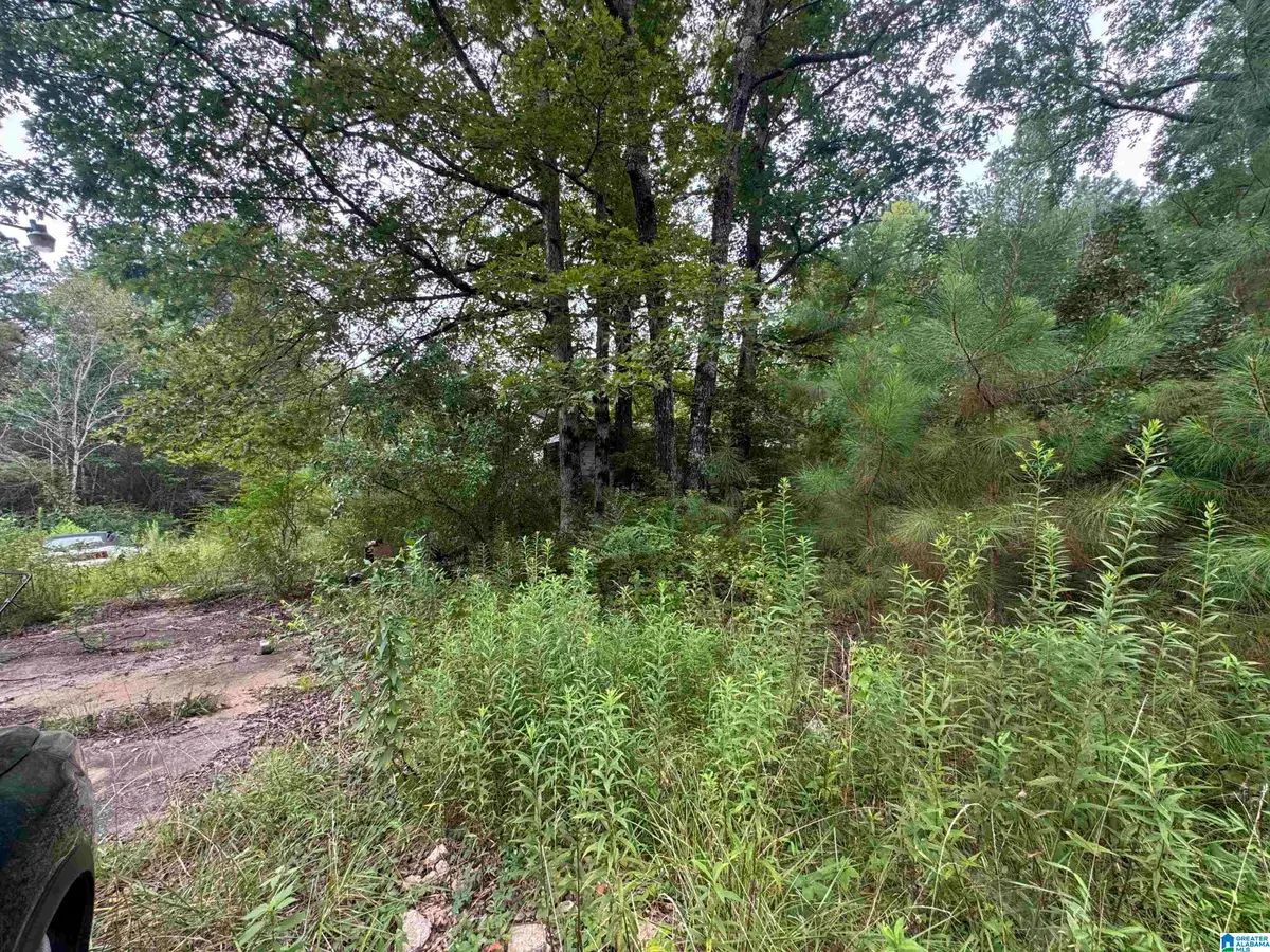 204 COUNTY ROAD, Nauvoo, AL 35578 - #1