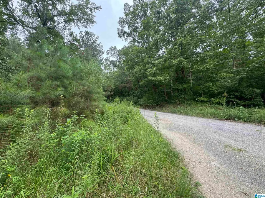 204 COUNTY ROAD, Nauvoo, AL 35578 - #2