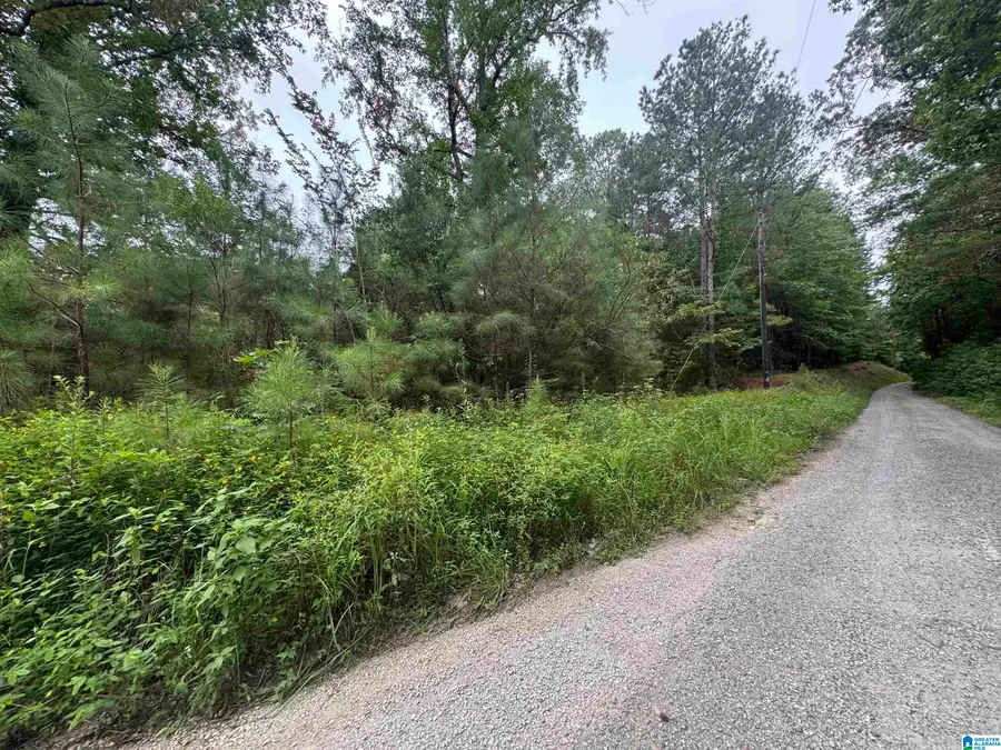 204 COUNTY ROAD, Nauvoo, AL 35578 - #3
