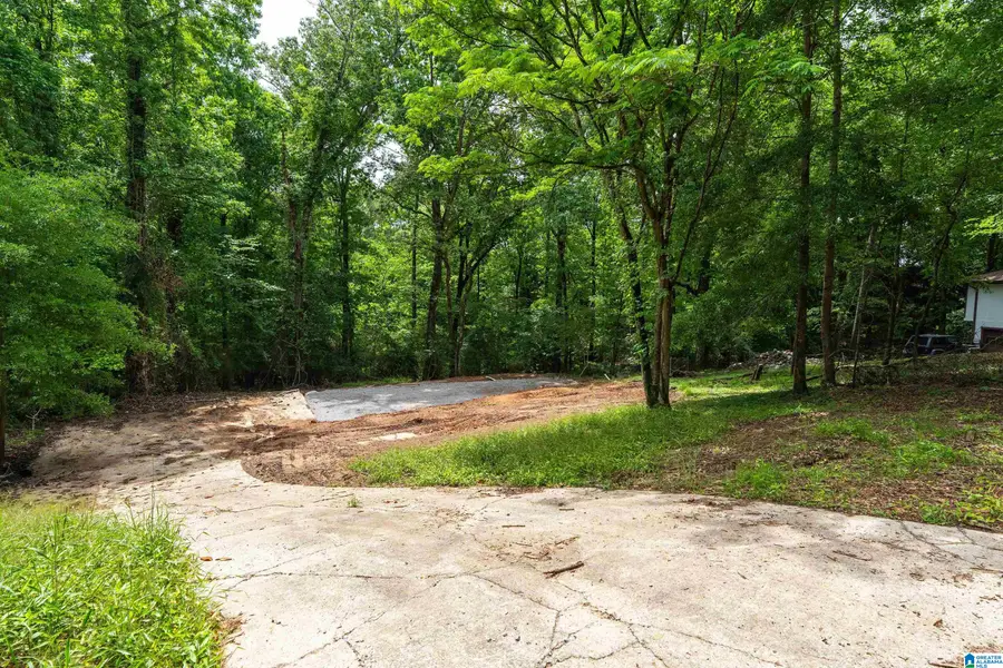 4804 WINNEBAGO DRIVE, Alabaster Helena, AL 35244 - #2