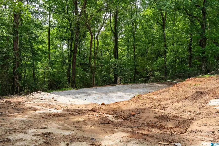 4804 WINNEBAGO DRIVE, Alabaster Helena, AL 35244 - #3