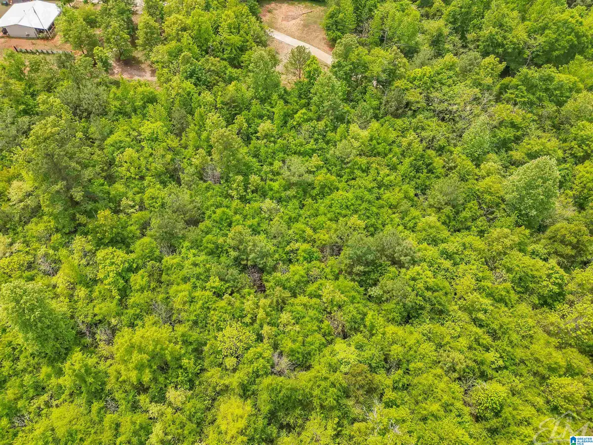 0 MORELAND ROAD, Brierfield, AL 35035 - #1