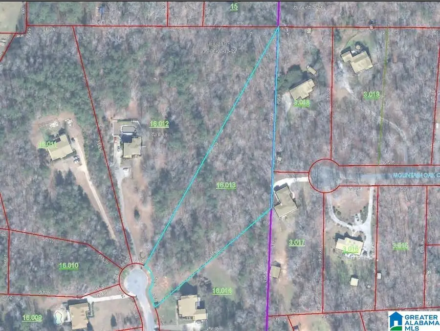 0 PEBBLE POINT, Sylacauga, AL 35150 - #3