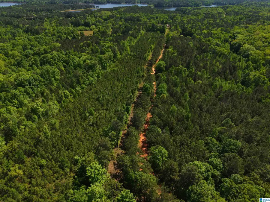 0 COUNTY ROAD 266, County, AL 36855 - #3