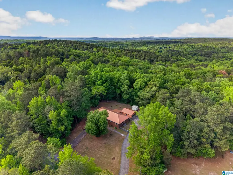2641 SETTLEMENT ROAD, Sylacauga, AL 35150 - #2