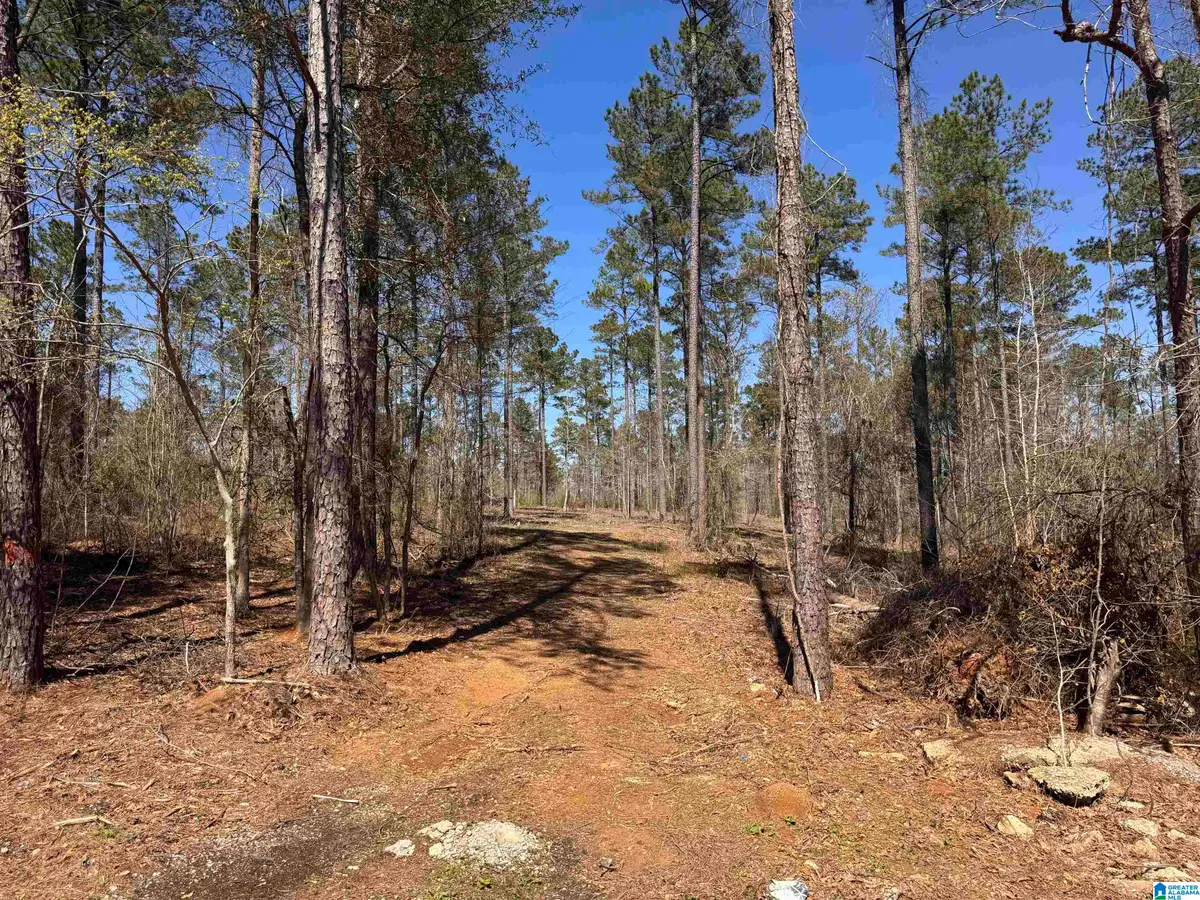 00 FINNELL ROAD, Northport, AL 35475 - #1