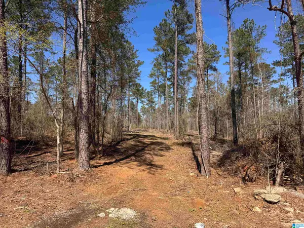 00 FINNELL ROAD, Northport, AL 35475