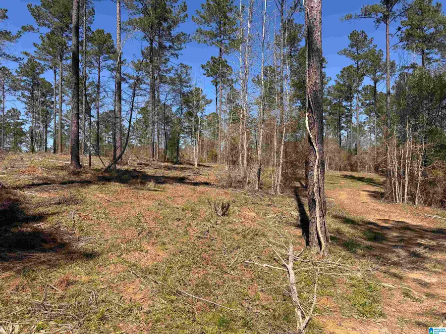00 FINNELL ROAD, Northport, AL 35475 - #2